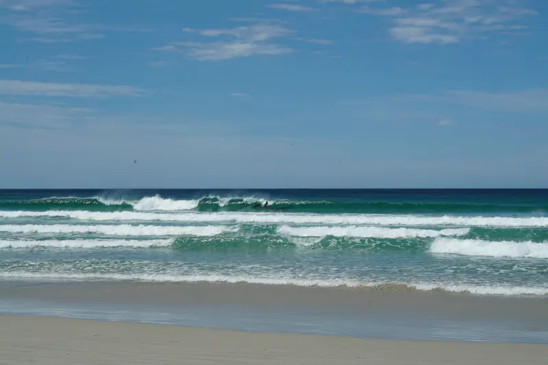 A pod of dolphins passes close to foilers near the beach